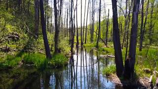 Шелехівське озеро / Шелеховское озеро