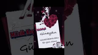 Günaydın İlhan İrem Resimi