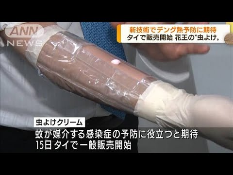 デング熱流行のタイ　新たな虫よけクリームに期待(2022年6月16日)