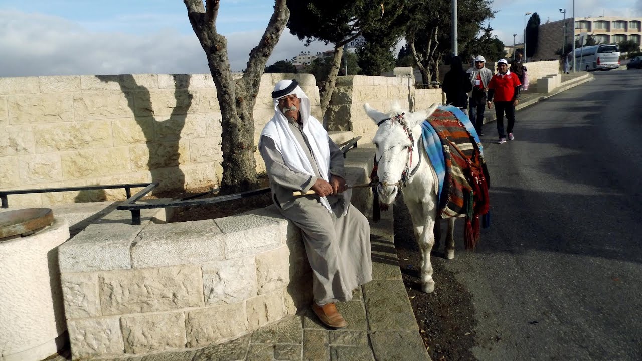 Jesus zieht in Jerusalem ein - YouTube