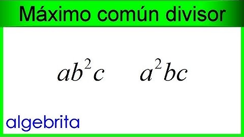 Máximo común divisor de monomios 382
