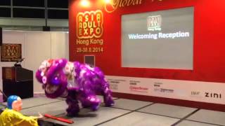 More Impressions Of The Asia Adult Expo In Hong Kong