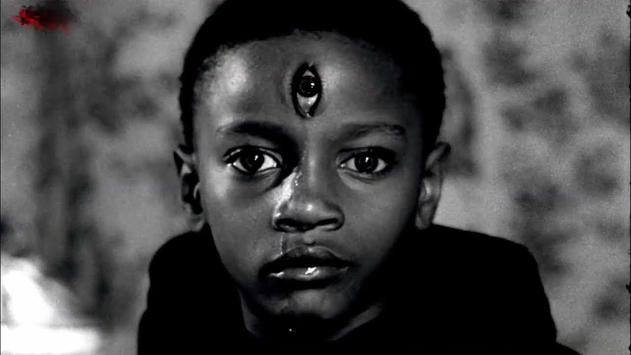 The White Buffalo House Of The Rising Sun Lyrics YouTube