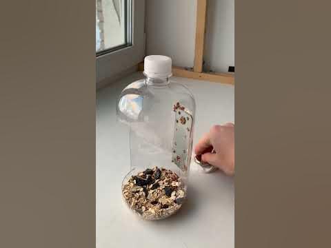 Удобнейшая простая кормушка своими руками #лайфхаки #diy #птицы #зима ...