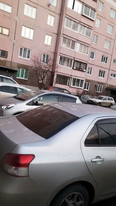 Яблоку негде упасть... - YouTube