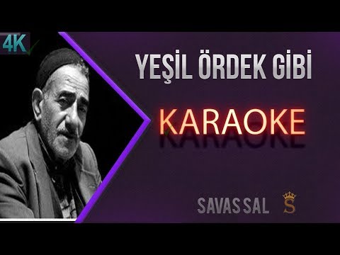 Yeşil Ördek Gibi Karaoke Türkü