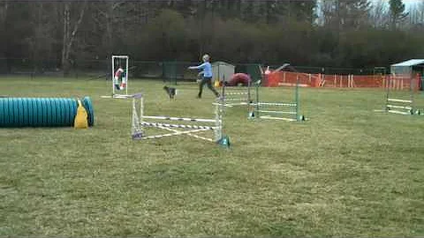 JUMPERS/Sue & Sammie, Wiggle Butts CPE trial, Mebane