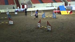 USDAA World Agility Championships 2011-1/3