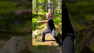 Shaolin Punching