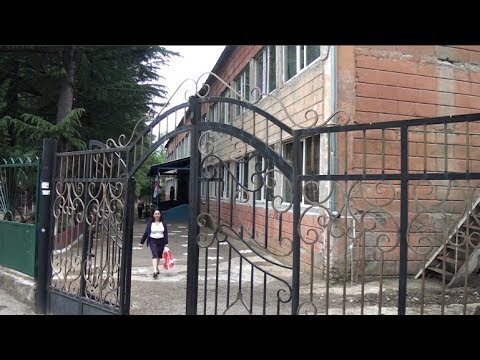 ქუთაისში ბუხაიძეზე  #17-ე  ბაღის შენობაში ქვეწარმავალი იპოვეს