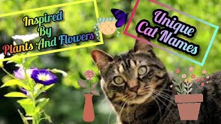 Unique Cat Names Inspired By Plants And Flowers by We Love Cats 79 views 2 years ago 2 minutes, 7 seconds