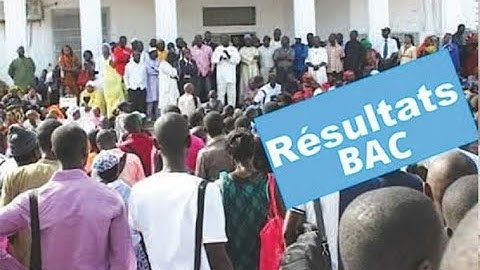 🛑[DIRECT] PROCLAMATION RÉSULTATS BAC 2025 (1er tour) À ZIGUINCHOR/ LYCÉE DJIGNABO