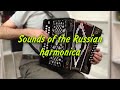 Magic harmonica sounds! Melodies that attract every heart - Sounds of the Russian harmonica