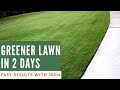 How to Make Your Lawn Greener