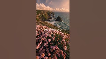 {كُلُّ مَنْ عَلَيْهَا فَانٍ} بصوت القارئ يوسف المرهون ❤️