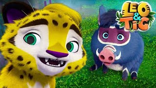 Leo and Tig 🦁 Best Stories 🔴 LIVE 🔴 Funny Family Good Animated Cartoon for Kids