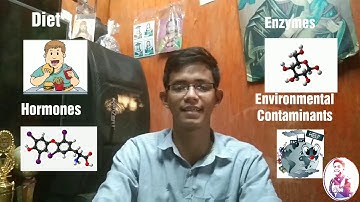 Crash course: Trait theories by Larry Seigle