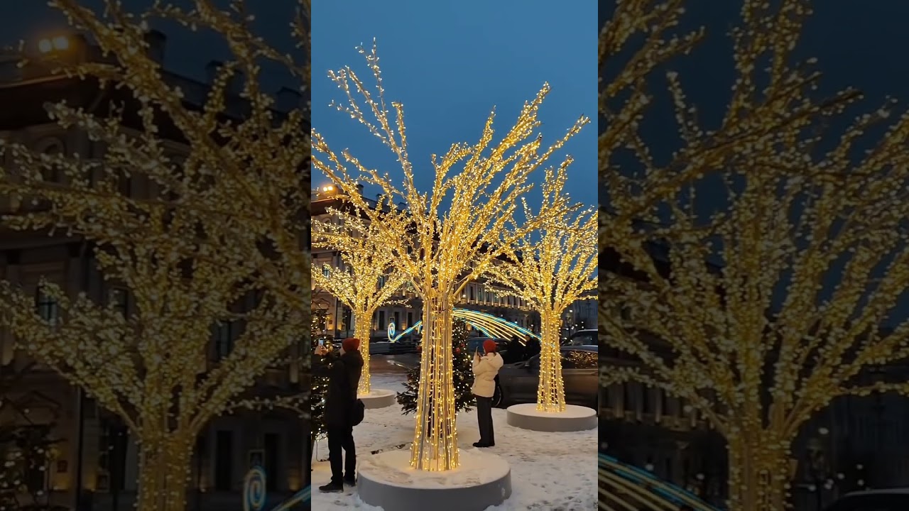 Сады Петербурга накануне Нового 2026 года