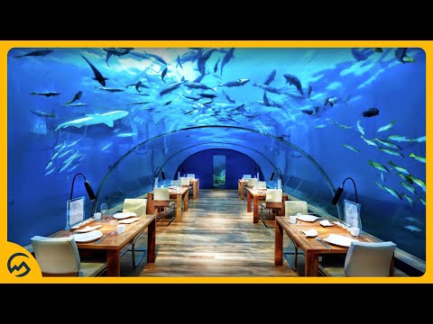 Video: De Meest Duurzame Restaurants Ter Wereld