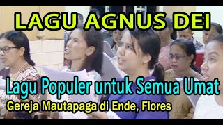 Download Lagu Lagu Agnus Dei Gregorian👉Koor Umat Paroki Mautapaga di Ende, Flores MP3 Download Lagu Lagu Agnus Dei Gregorian👉Koor Umat Paroki Mautapaga di Ende, Flores MP3