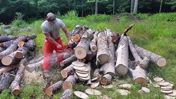 357XP MM & Base Gasket Delete