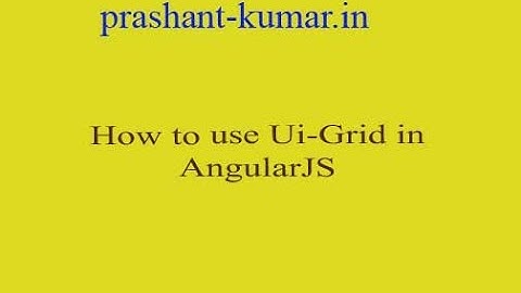 How to use angular ui grid?