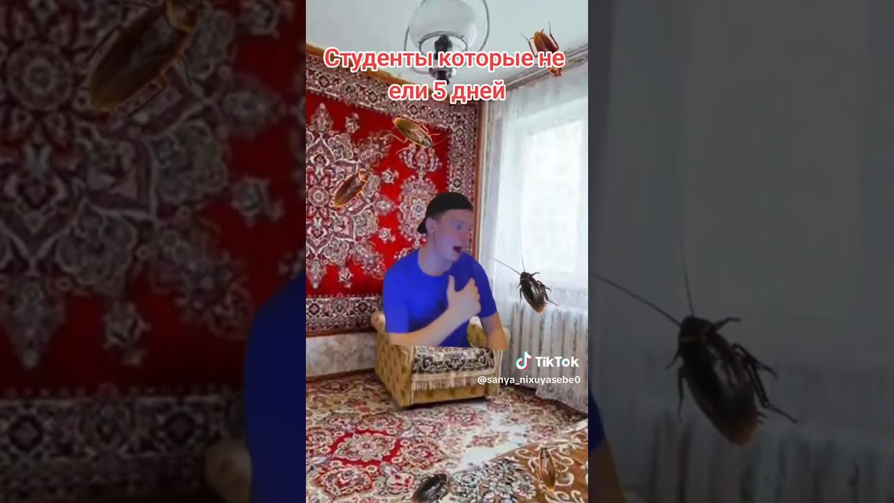 Меллстрой: Что за бизнес, сука?