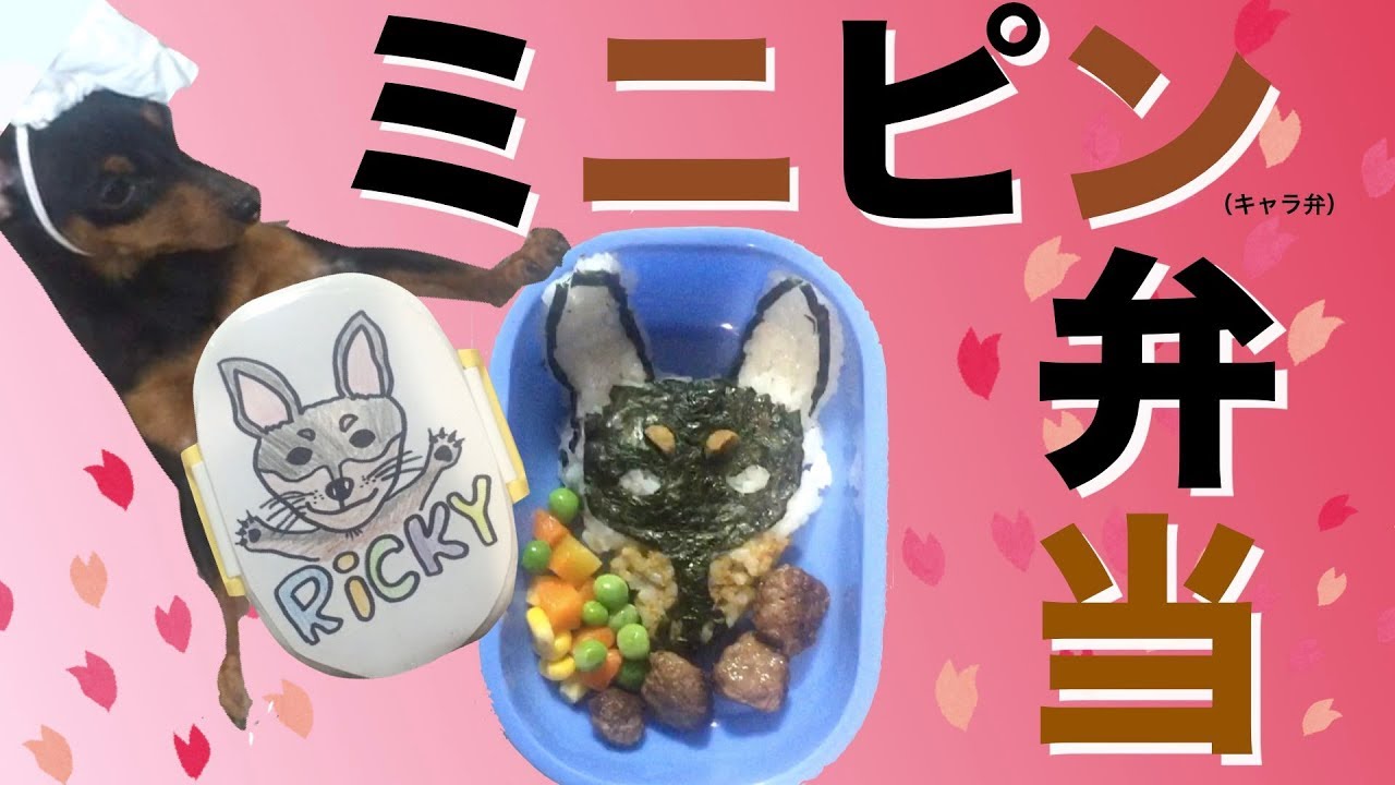 ミニピン 犬用手作りお弁当 作ってみた ミニピン弁当 キャラ弁 犬 How To Make A Miniature Pinscher Lunch Youtube