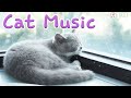 Musique que les chats adorent musique de sommeil pour chats musique antistress