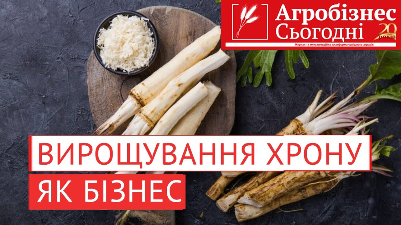 Вирощування хрону стає усе більш вигідним