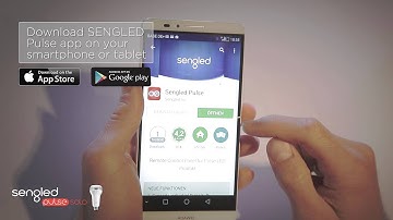 Sengled Pulse Solo   Overview