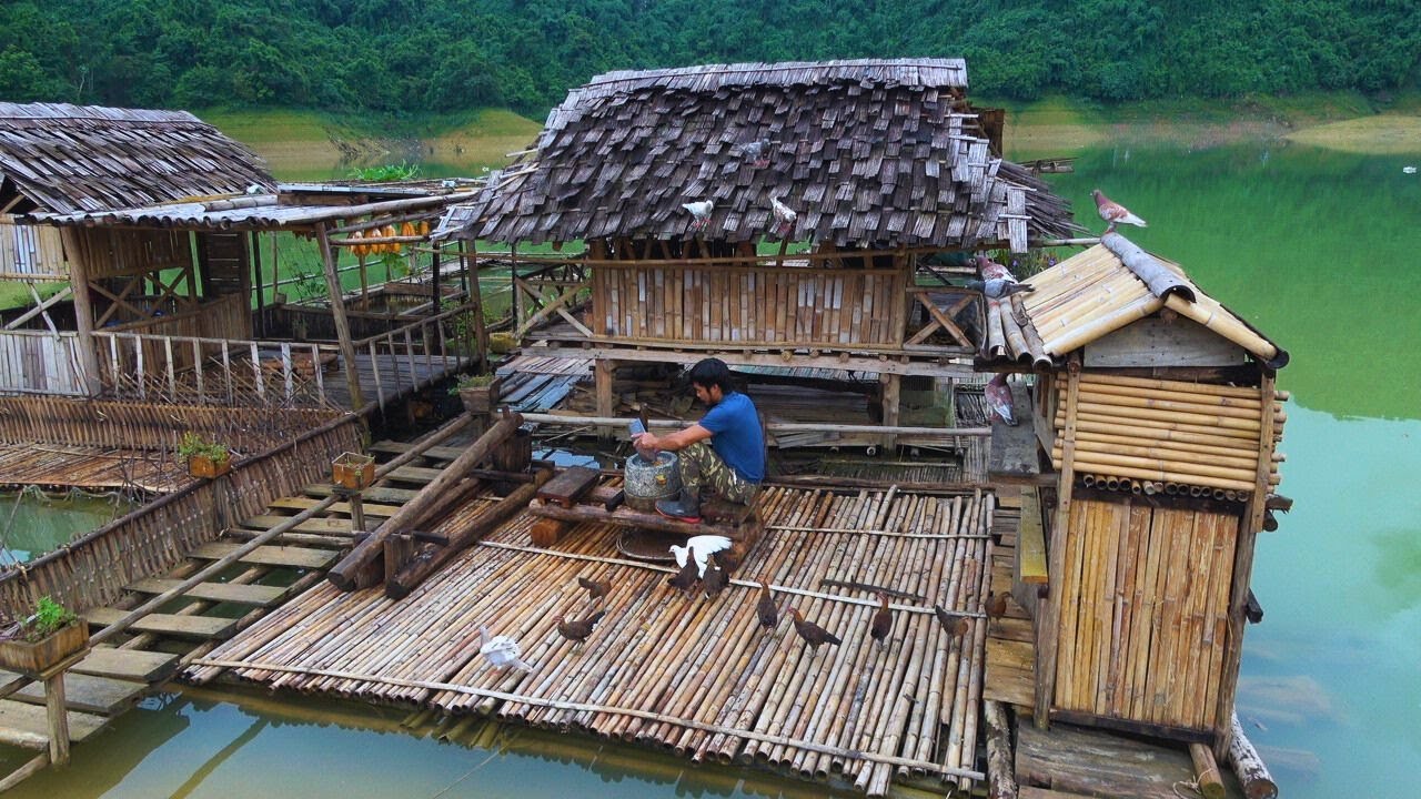 The farm has kittens and baby birds. Completed renovation of the floating farm floor
