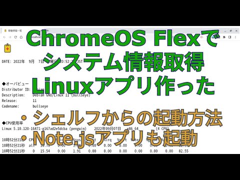 ChromeOS Flexでシステム情報Linuxアプリ、シャルフから起動方法、Node.jsアプリも動く