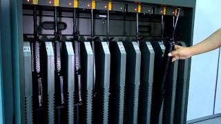 SWS Gun Rack