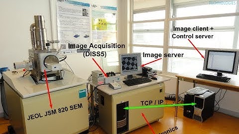 Drift compensation in SEM