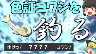 ポケモン剣盾 超低確率 色違い証持ちヨワシを釣り上げろ ゆっくり実況 Youtube