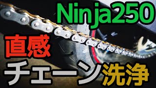 直感でNinja250のチェーンを洗浄してみた