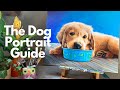 How to Paint a Dog Portrait Step-by-Step