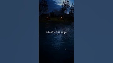 ﴿فَسَبِّحْ بِحَمْدِ رَبِّكَ وَكُن مِّنَ السَّاجِدِينَ﴾ | راحة القلب #إسلام_صبحي #تلاوة_خاشعة #القرآن