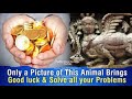 Only a Picture of This Animal Brings Good luck and Solve all your Problems | Vastu Shastra