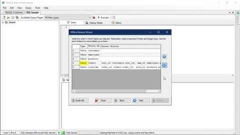 Offline Backup and Restore with WinSQL