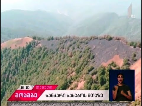 ხახაბოს მთის ფერდობზე წიწვოვანი ტყე იწვის - ქარის გამო ლოკალიზებული ცალკეული კერები ისევ აალდა