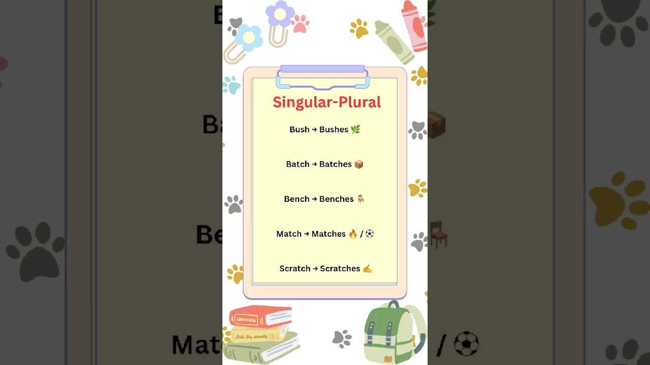 Learn Singular And Plural Schoolstudents Easygrammarlessonsyoutube English
