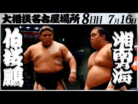 大相撲 伯桜鵬ー湘南乃海 ＜令和5年名古屋場所・8日目＞SUMO