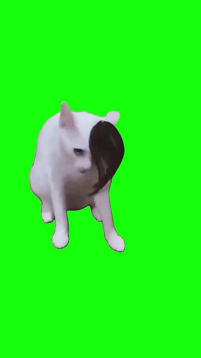 Download lagu Cat Meme Green Screen 60 BIG BANG GD Cat!! YOGIBUCHORA