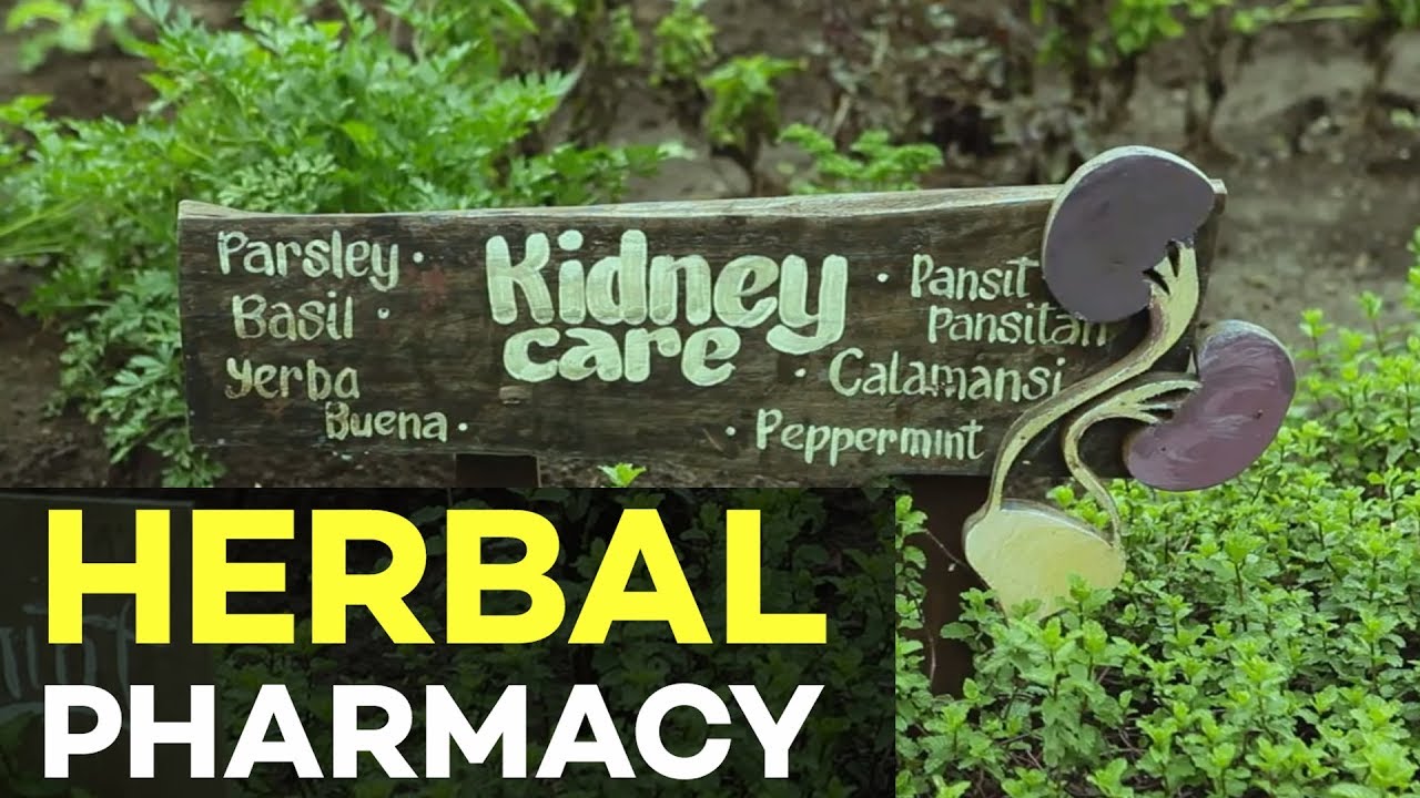 Herbal Medicinal Plants Farming Nurture Pharmacy Organic Farm YouTube