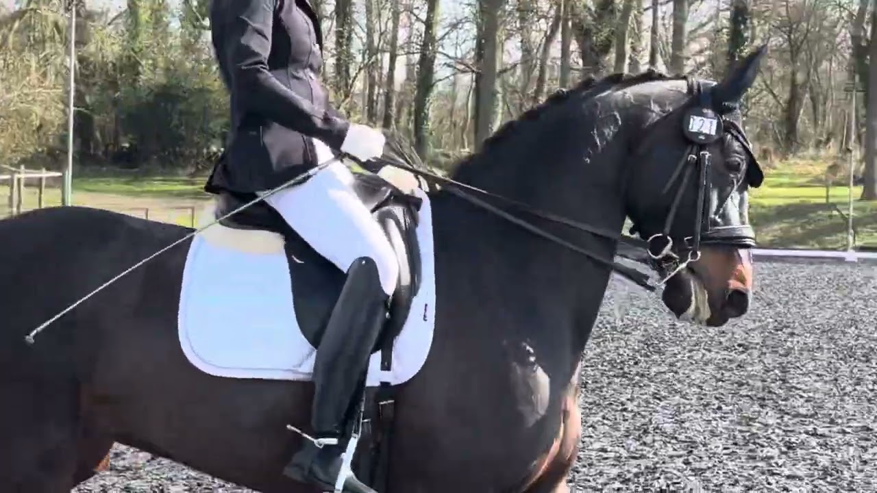 Camilla and Seven. Ad med 6 at pachesham 15/3/25