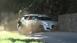 43° Rally Il Ciocco 2020 - Crash & Best Action!