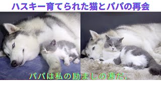 病気で落ち込んだ猫が育ての親のハスキー犬と再会できたら、こうなりました。