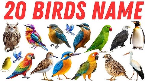 Learn Birds Name in Hindi and English | Kids Learning Video | Birds Name for Kids | #gyanpathkids 